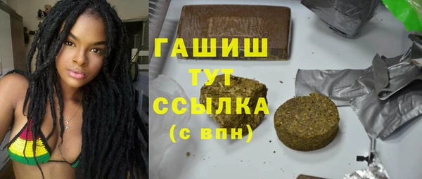 шишки Няндома