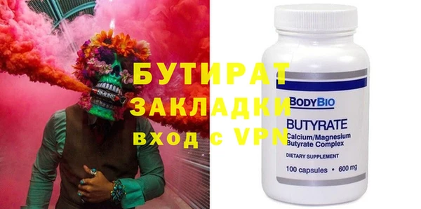 шишки Няндома