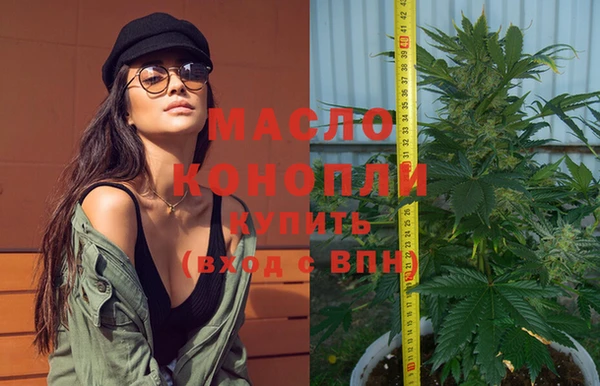 шишки Няндома