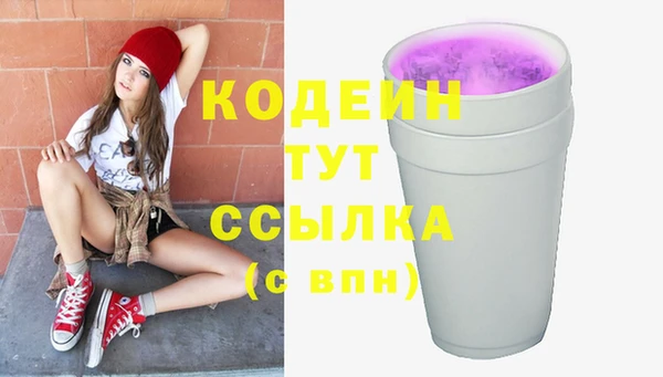 шишки Няндома