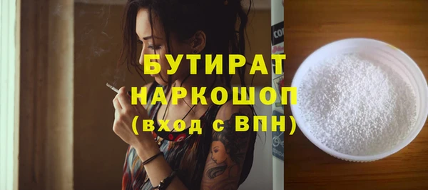 шишки Няндома