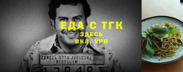 шишки Няндома