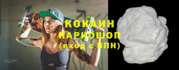 шишки Няндома