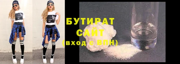 шишки Няндома