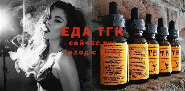 шишки Няндома