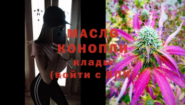 шишки Няндома