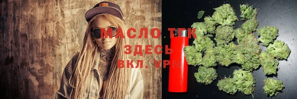 шишки Няндома