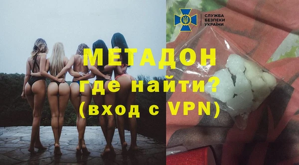 шишки Няндома