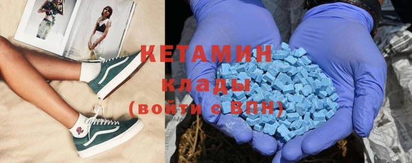 шишки Няндома
