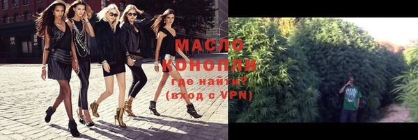 шишки Няндома