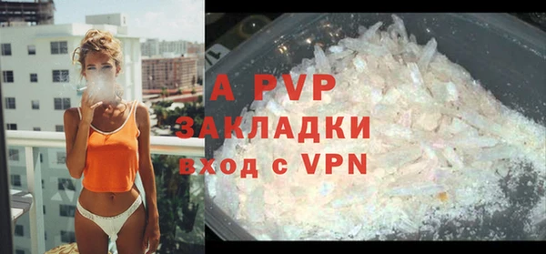 шишки Няндома