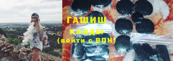 шишки Няндома